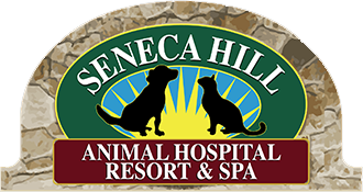 Seneca Logo